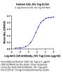 Human CA9/Carbonic Anhydrase IX Protein (CA9-HM401)