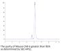 Mouse CA9/Carbonic Anhydrase IX Protein (CA9-MM101)