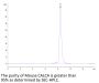 Mouse CALCA/CGRP Protein (CAL-MM201)