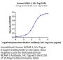 Human NCAM-1/CD56 Protein (CAM-HM256)