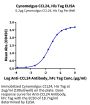 Cynomolgus CCL24 Protein (CCL-CM124)