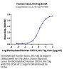 Human CCL5 Protein (CCL-HE105)