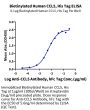 Biotinylated Human CCL5 Protein (CCL-HE405B)