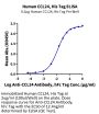 Human CCL24 Protein (CCL-HM124)