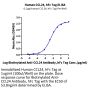 Human CCL24 Protein, Ultra Low Endotoxin (CCL-HM224-UL)