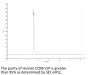 Human CCR8 Protein-VLP (CCR-HM08V)