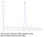 Human CCR8 Protein (CCR-HM308)