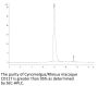 Cynomolgus/Rhesus macaque CD117 Protein (CD1-CM117)