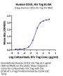 Human CD19 Protein (CD1-HM119)