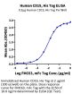Human CD19 Protein (CD1-HM119)