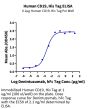 Human CD19 Protein (CD1-HM119)