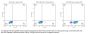 FITC-Compatible Human CD19 Protein (CD1-HM119F)