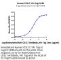 Human CD117 Protein (CD1-HM217)
