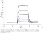 Biotinylated Human IL-2 R beta/CD122 Protein (CD1-HM422B)