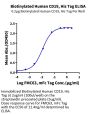Biotinylated Human CD19 Protein (CD1-HMR102)