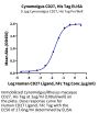 Cynomolgus/Rhesus macaque CD27/TNFRSF7 Protein (CD2-CM127)