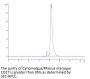Cynomolgus/Rhesus macaque CD27/TNFRSF7 Protein (CD2-CM127)