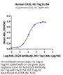 Human CD20/MS4A1 Protein (CD2-HE120)