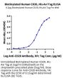 Biotinylated Human CD20/MS4A1 Protein (CD2-HE120B)