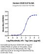 Human CD20/MS4A1 Protein-VLP (CD2-HM123)