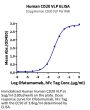 Human CD20/MS4A1 Protein-VLP (CD2-HM123)