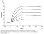 Biotinylated Human CD20/MS4A1 Protein-VLP (CD2-HM123B)