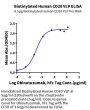 Biotinylated Human CD20/MS4A1 Protein-VLP (CD2-HM123B)