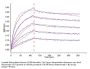 Biotinylated Human CD20/MS4A1 Protein-Nanodisc (CD2-HM12NB)