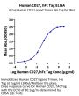 Human CD27/TNFRSF7 Protein (CD2-HM227)