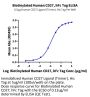 Biotinylated Human CD27/TNFRSF7 Protein (CD2-HM227B)