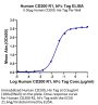Human CD200 R1/CRTR2 Protein (CD2-HM2R1)