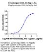 Cynomolgus CD30/TNFRSF8 Protein (CD3-CM130)