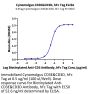 Cynomolgus CD3E&CD3D/CD3 epsilon&CD3 delta Protein (CD3-CM201)