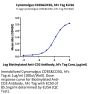 Cynomolgus CD3E&CD3G/CD3 epsilon&CD3 gamma Protein (CD3-CM202)