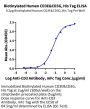 Biotinylated Human CD3E&CD3G/CD3 epsilon&CD3 gamma Protein (Primary Amine Labeling) (CD3-HM157B)
