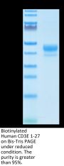 Biotinylated Human CD3E/CD3 epsilon 1-27 Protein (CD3-HM2EDB)