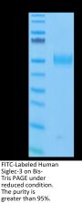 FITC-Labeled Human Siglec-3/CD33 Protein (CD3-HM433F)