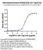 Biotinylated Human CD3E&CD3D/CD3 epsilon&CD3 delta Protein (CD3-HM505B)
