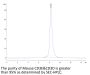 Mouse CD3E&CD3D/CD3 epsilon&CD3 delta Protein (CD3-MM205)