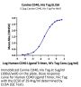 Canine CD40/TNFRSF5 Protein (CD4-DM140)