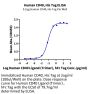 Human CD40/TNFRSF5 Protein (CD4-HM140)