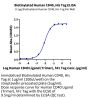 Biotinylated Human CD40/TNFRSF5 Protein (CD4-HM440B)