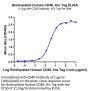 Biotinylated Human CD40/TNFRSF5 Protein (CD4-HM440B)