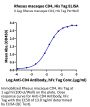 Rhesus macaque CD4/LEU3 Protein (CD4-RM101)