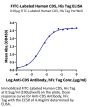 FITC-Labeled Human CD5 Protein (CD5-HM101F)