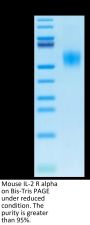 Mouse IL-2 R alpha/CD25 Protein (CD5-MM125)