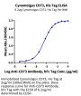 Cynomolgus CD73/NT5E Protein (CD7-CM173)