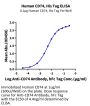 Human CD74/DHLAG Protein, Ultra Low Endotoxin (CD7-HM175-UL)
