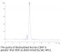 Biotinylated Human CD47 Protein (Primary Amine Labeling) (CD7-HM247B)
