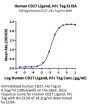 Human CD27 Ligand/CD70 Protein (CD7-HM270)